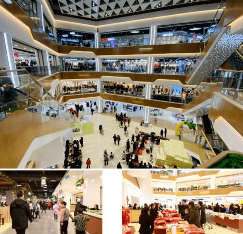 榮耀啟航 慶云開啟商貿集群發展新時代